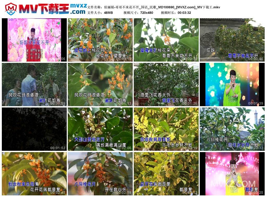 侯丽娟-哥哥不来花不开_国语_民歌_MD100690